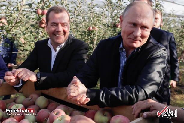 تصاویر : پوتین و مدودف در باغ سیب