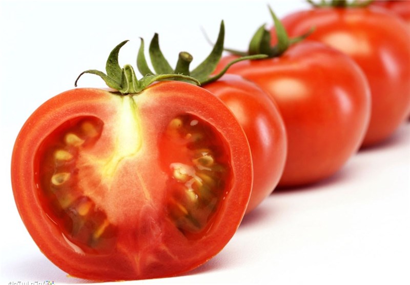 صادرات گوجه فرنگی ممنوع شد