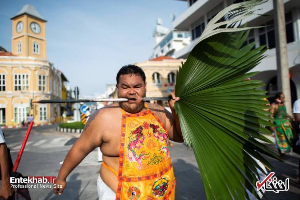 تصاویر : جشنواره عجیب گیاهخواری در تایلند
