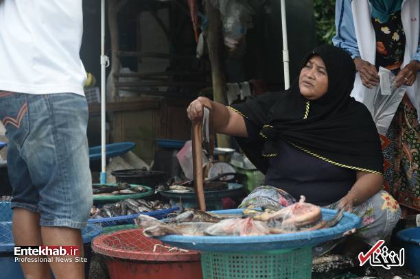 عکس/ زنان مسلمان ماهی فروش در تایلند