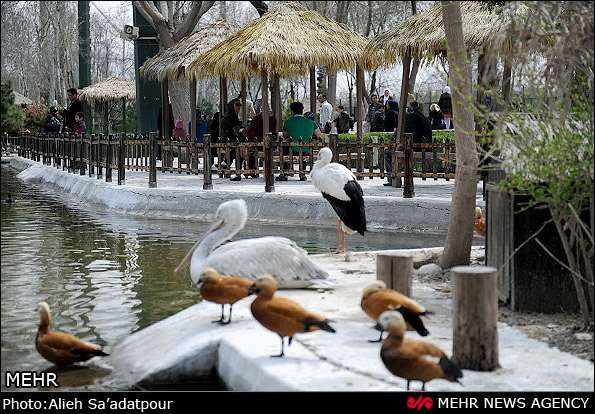 تصاویر باغ پرندگان مشهد