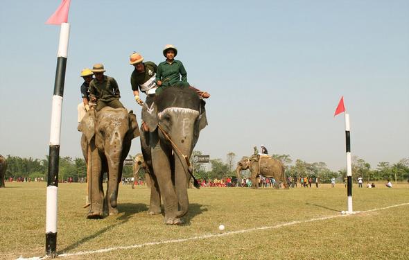 تصاویر : مسابقات جهاني پولوی فيل ها در نپال‎