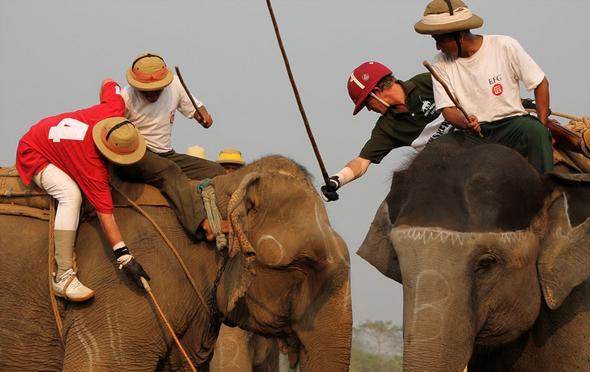 تصاویر : مسابقات جهاني پولوی فيل ها در نپال‎