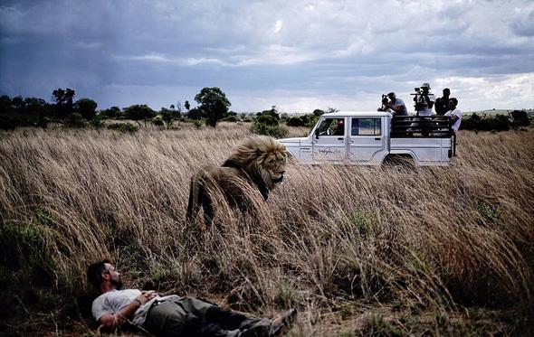 تصاویر : زندگی با شیرها‎