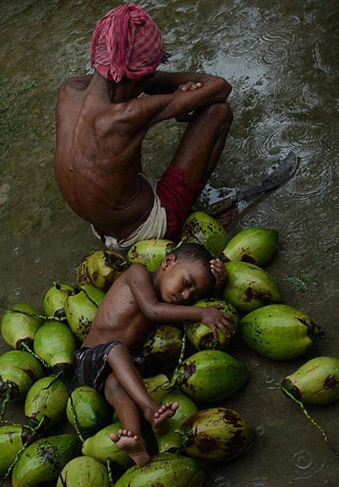 تصاویر : جهان رو به فقر و گرسنگی