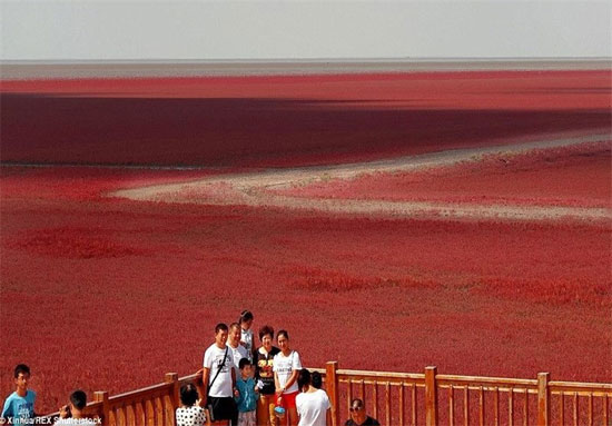 تصاویر زیبا از بزرگ‌ترین تالاب دنیا در چین