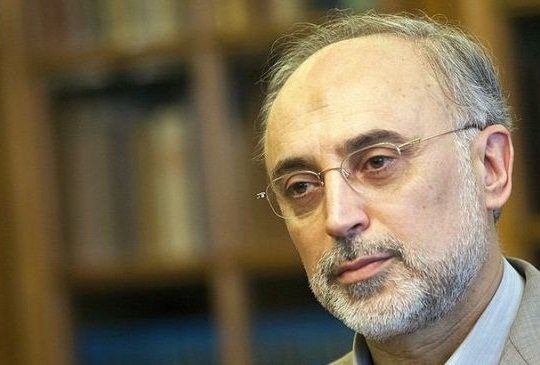 صالحی سخنان جلیلی را رد کرد: آمریکا در آلماتی، حق غنی سازی ایران را نپذیرفت