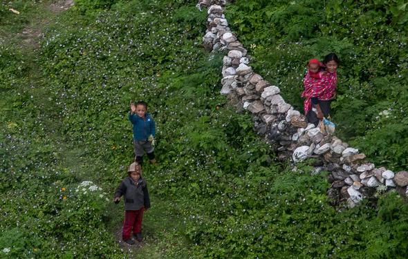 تصاویر : دره نوبری در نپال