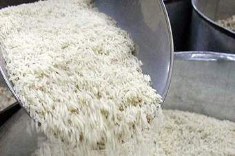 واردات برنج آزاد شد/ بلومبرگ:ايران ناجي برنجكاران هندي