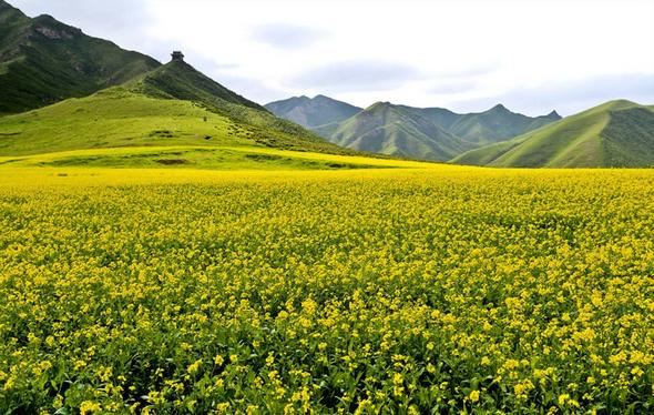 تصاویر : زیباترین استان چین تصاویر : زیباترین استان چین