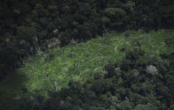 تصاویر : جنگلهای آمازون از نمای بالا