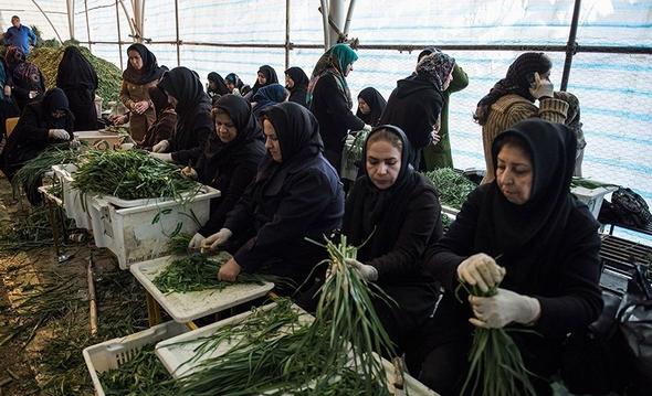تصاویر : پخت آش 80 تنی بمناسبت ۲۸ صفر در  شیراز
