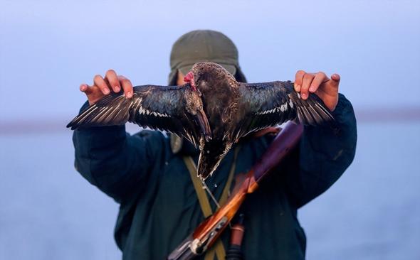 تصاویر : یک‌روز با شکارچی