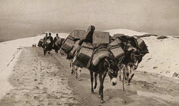 تصاویر : ایران در زمان پهلوی تصاویر : ایران در زمان پهلوی