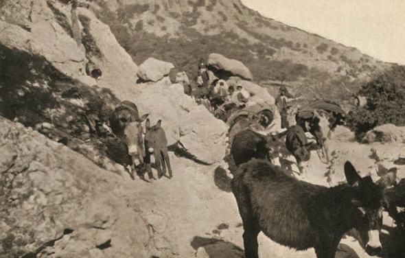 تصاویر : ایران در زمان پهلوی تصاویر : ایران در زمان پهلوی