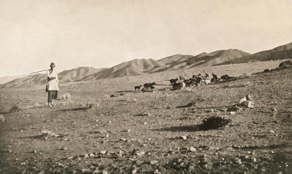 تصاویر : ایران در زمان پهلوی تصاویر : ایران در زمان پهلوی