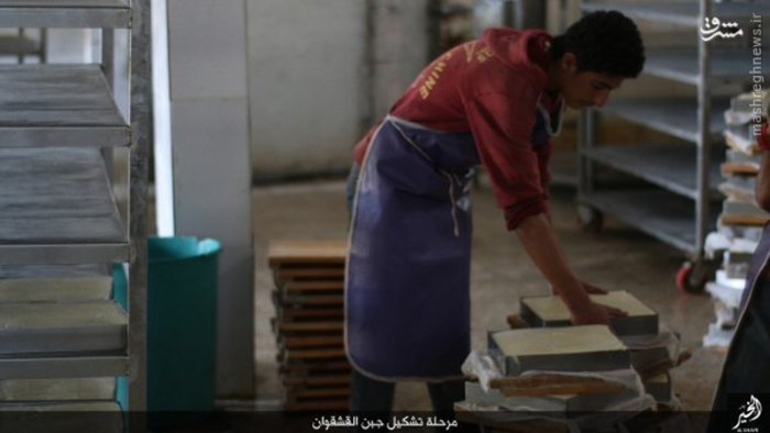 تصاویر: کارخانه لبنیات داعش