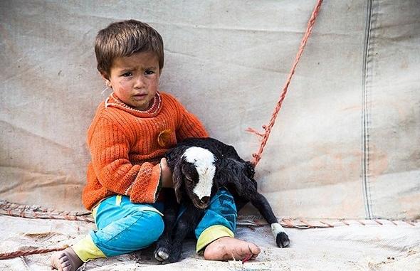 تصاویر : کوچ عشایر در لرستان