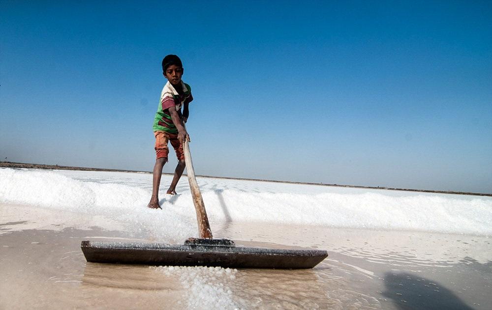 تصاویر : برداشت نمک در آگاریای هند‎