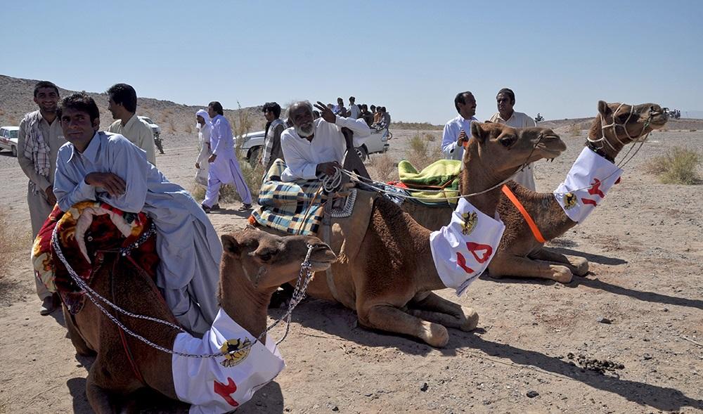 تصاویر : مسابقه شتر دوانی در زاهدان