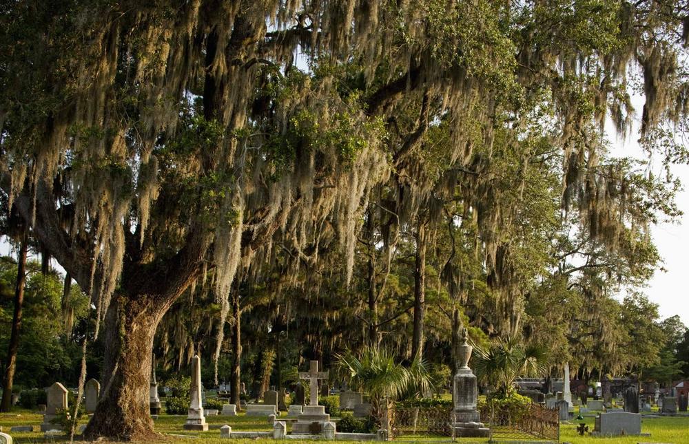 تصاویر : زیباترین قبرستان‌های دنیا
