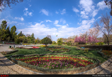 تصاویر/ باغ گلهای شهر اصفهان