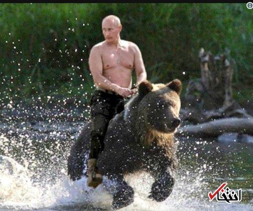 پوتین: آمریکا دست به «کارهای کثیف» می‌زند بعد دیگران را سرزنش می‌کند / توئیت‌های ترامپ را نمی‌خوانم / ترامپ رهبر موثری است؛ نمی‌گذارند او روابط آمریکا و روسیه را ترمیم کند