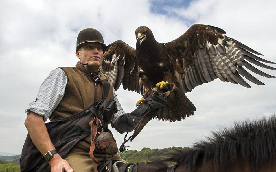 تصاویر : شکار با عقاب طلایی
