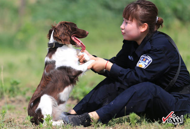 تصاویر: آموزش سگ‌های پلیس در چین