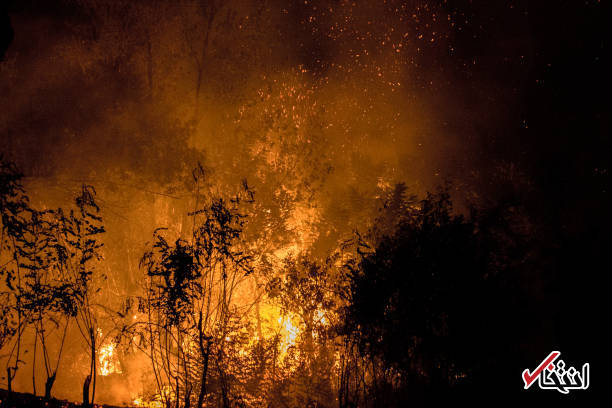 تصاویر : آتش‌سوزی در جنگل‌های دامنه کوه آتشفشان ایتالیا