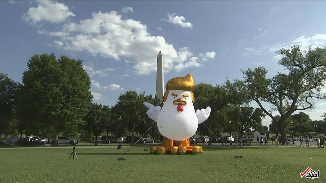 عکس/ ظهور یک مرغ غول پیکر شبیه ترامپ مقابل کاخ سفید