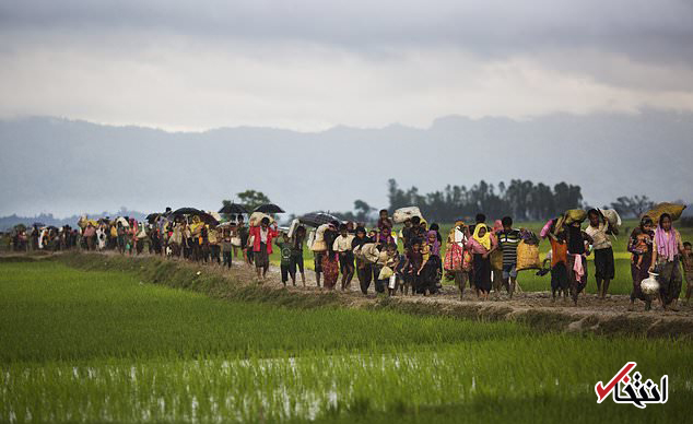 آخرین آمار سازمان ملل از مسلمانان روهینگیایی فراری به بنگلادش