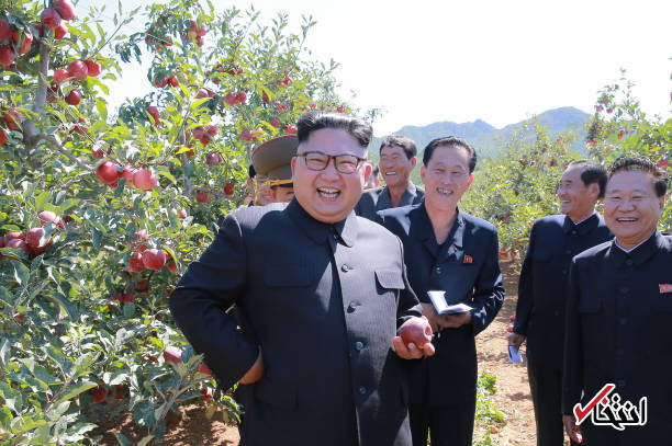 تصاویر : رهبر کره شمالی در باغ بزرگ سیب