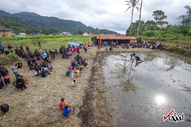 تصاویر : مسابقه رزمی سنتی اندونزی در آب گل آلود