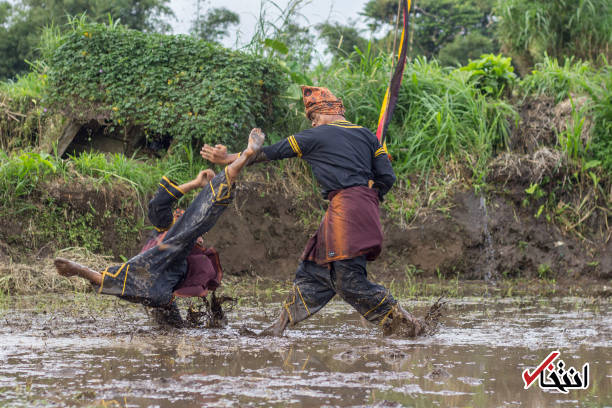 تصاویر : مسابقه رزمی سنتی اندونزی در آب گل آلود
