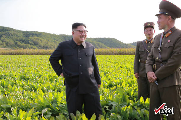 عکس/ رهبر کره شمالی در مزارع کشاورزی