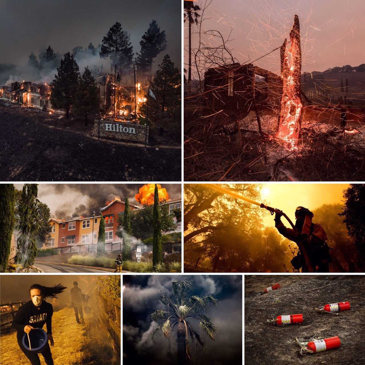 عکس/آتش‌سوزی کالیفرنیا؛ ۳۱ کشته، صدها مفقود، ویرانی ۳۵۰۰ بنا
