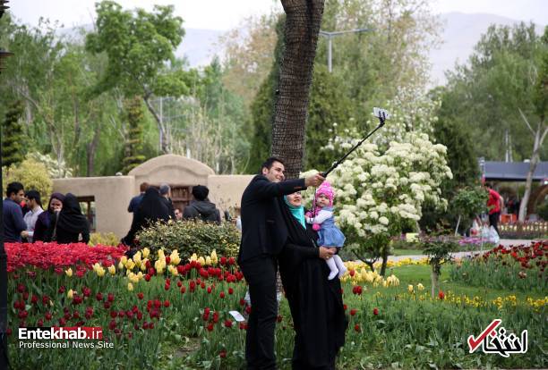 تصاویر : تصاویر :