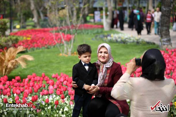 تصاویر : تصاویر :