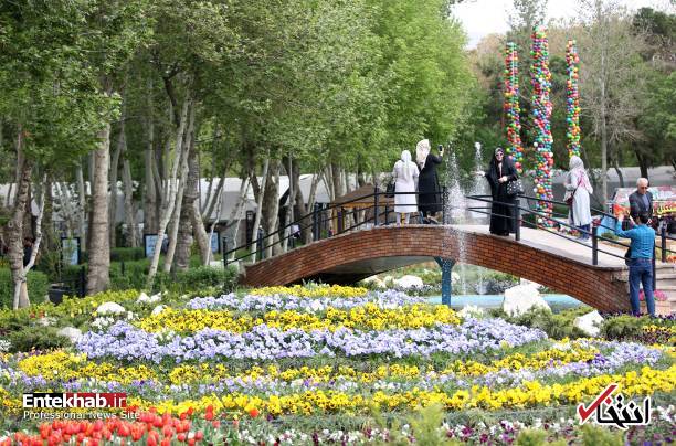 تصاویر : تصاویر :