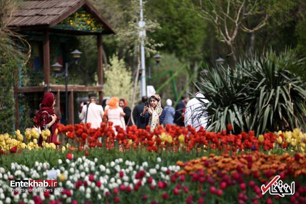 تصاویر : تصاویر :