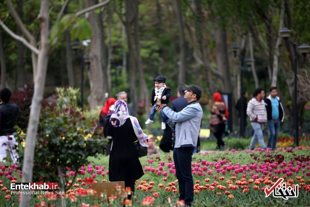 تصاویر : تصاویر :