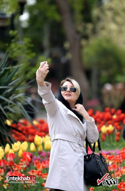 تصاویر : تصاویر :