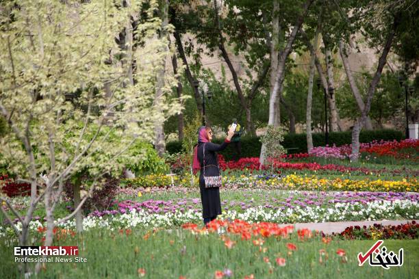 تصاویر : تصاویر :