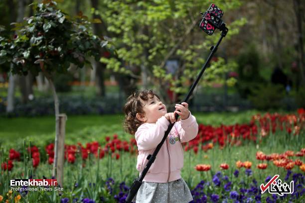 تصاویر : تصاویر :