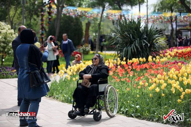 تصاویر : تصاویر :