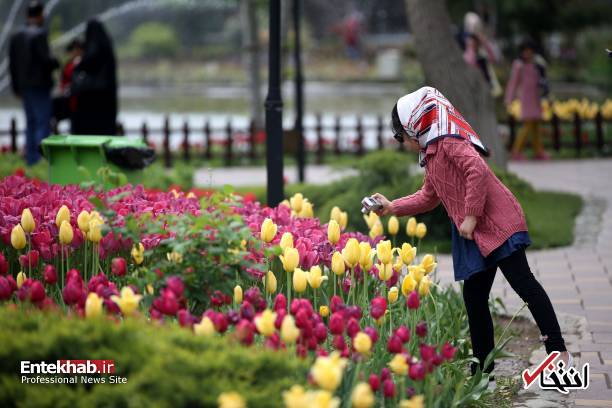 تصاویر : تصاویر :