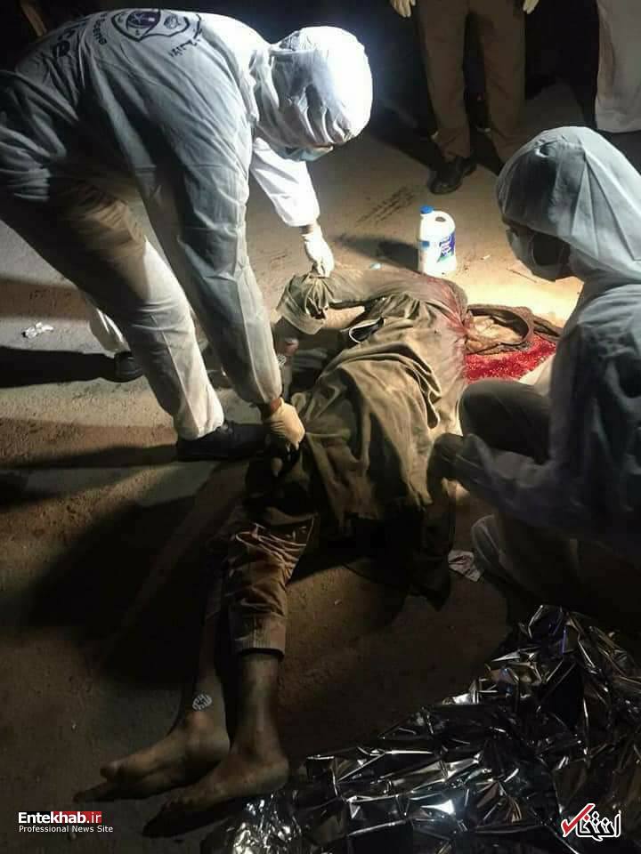 تصاویر : تصاویر :