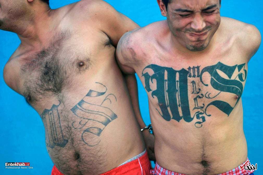 تصاویر : دیدنی‌های امروز سه شنبه ۲ بهمن ماه