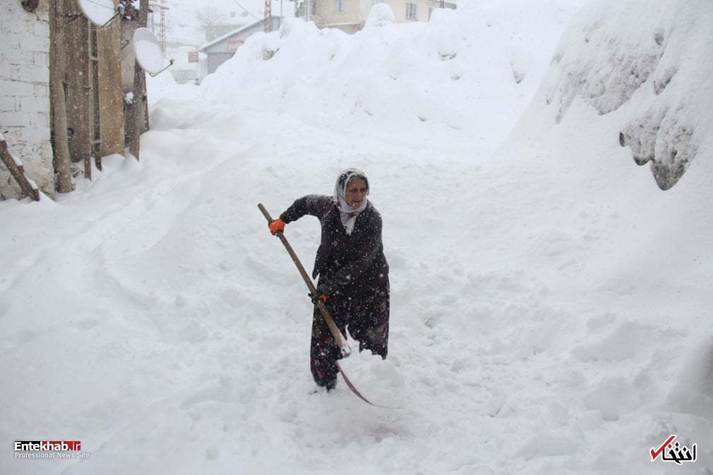 تصاویر : دیدنی‌های امروز یکشنبه ۲۱ بهمن ماه